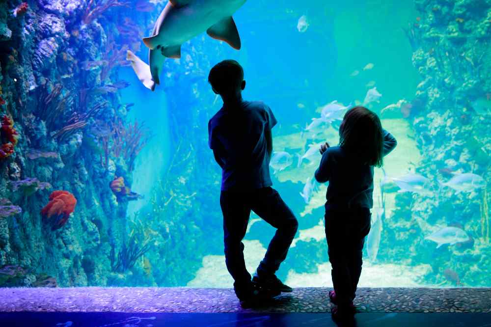Grand Aquarium de Saint Malo