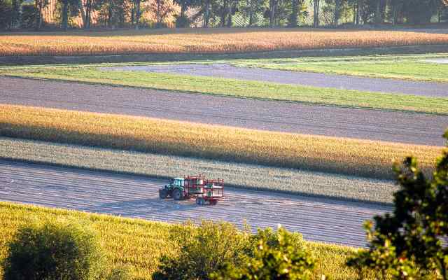 Pré-salés et Polders